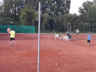 20180601-Erlenbach-2Grillabend004