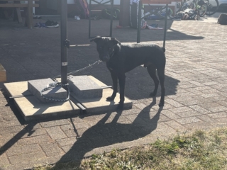 2023.05.28_Pulled Pork_00014